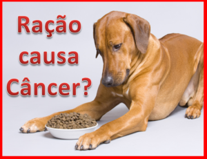 racao-causa-cancer