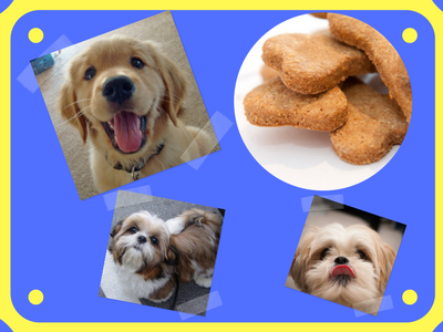 Biscoitos Naturais para Cachorro