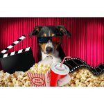Lista de Filmes de Cachorro, Veja nossa lista com os filmes mais conhecidos e desconhecidos também!