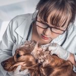 Como limpar ouvido de cachorro?