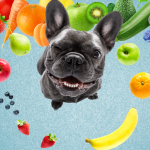 Frutas que o cachorro pode comer