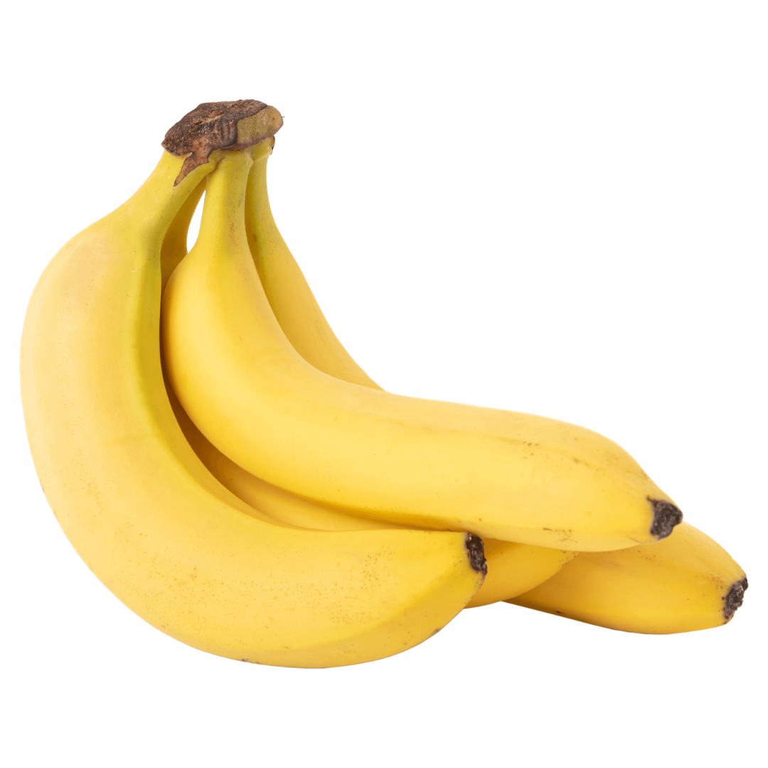 Banana frutas que cachorro pode comer