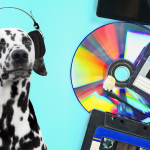 Cachorros gostam de ouvir música?